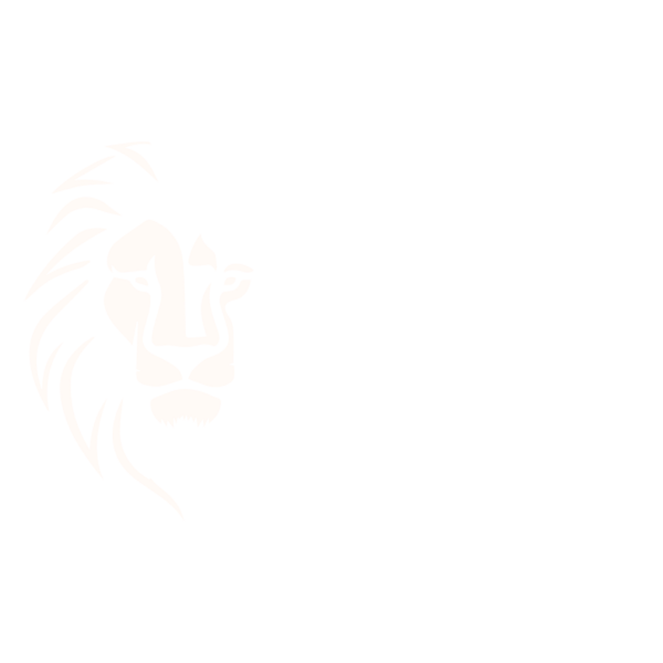 Warrior Clinics