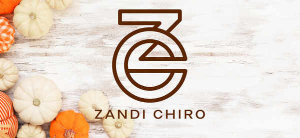 Zandi Chiropractic