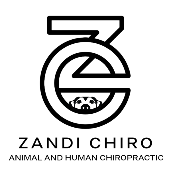 Zandi Chiropractic