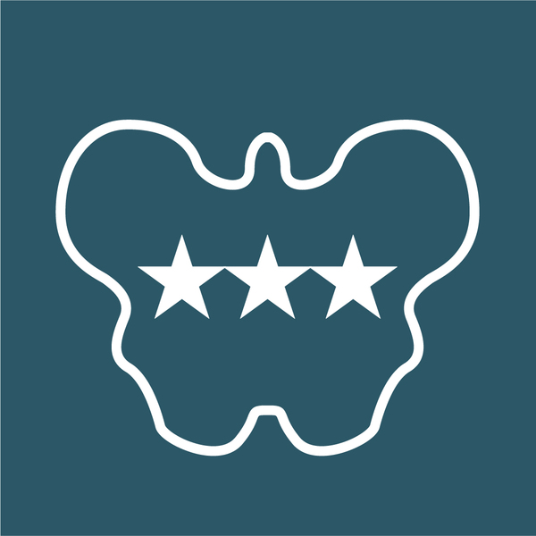 District Physical Therapy