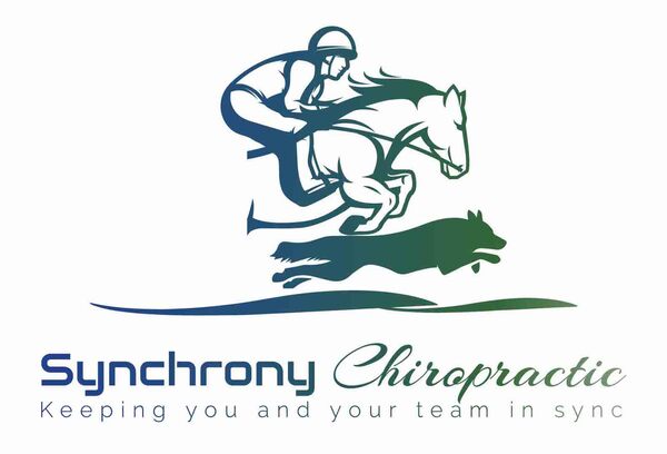 Synchrony Chiropractic