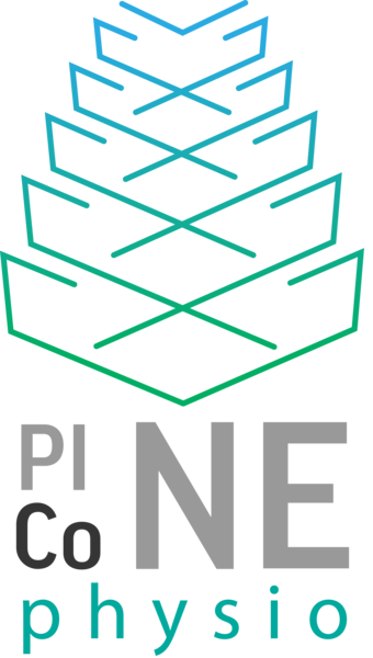 Pinecone Physio