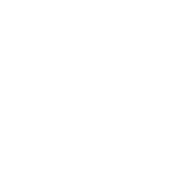 The Wellness Studio