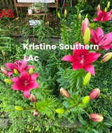 Book an Appointment with Kristine Shaw Southern at Southern Healing Arts - Baltimore